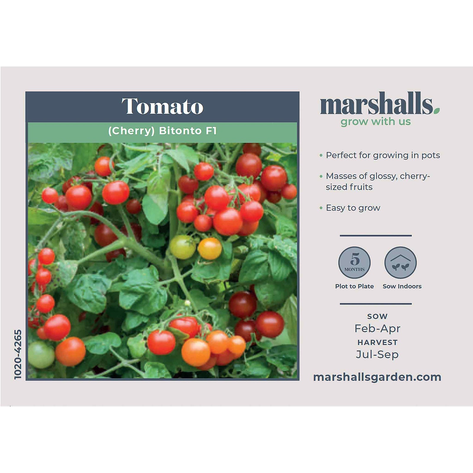 Tomato Cherry Bitonto F1 Seeds | 8 Seeds