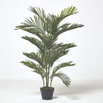 Multi Stem Green Palm Tree In Pot | 120cm | Green