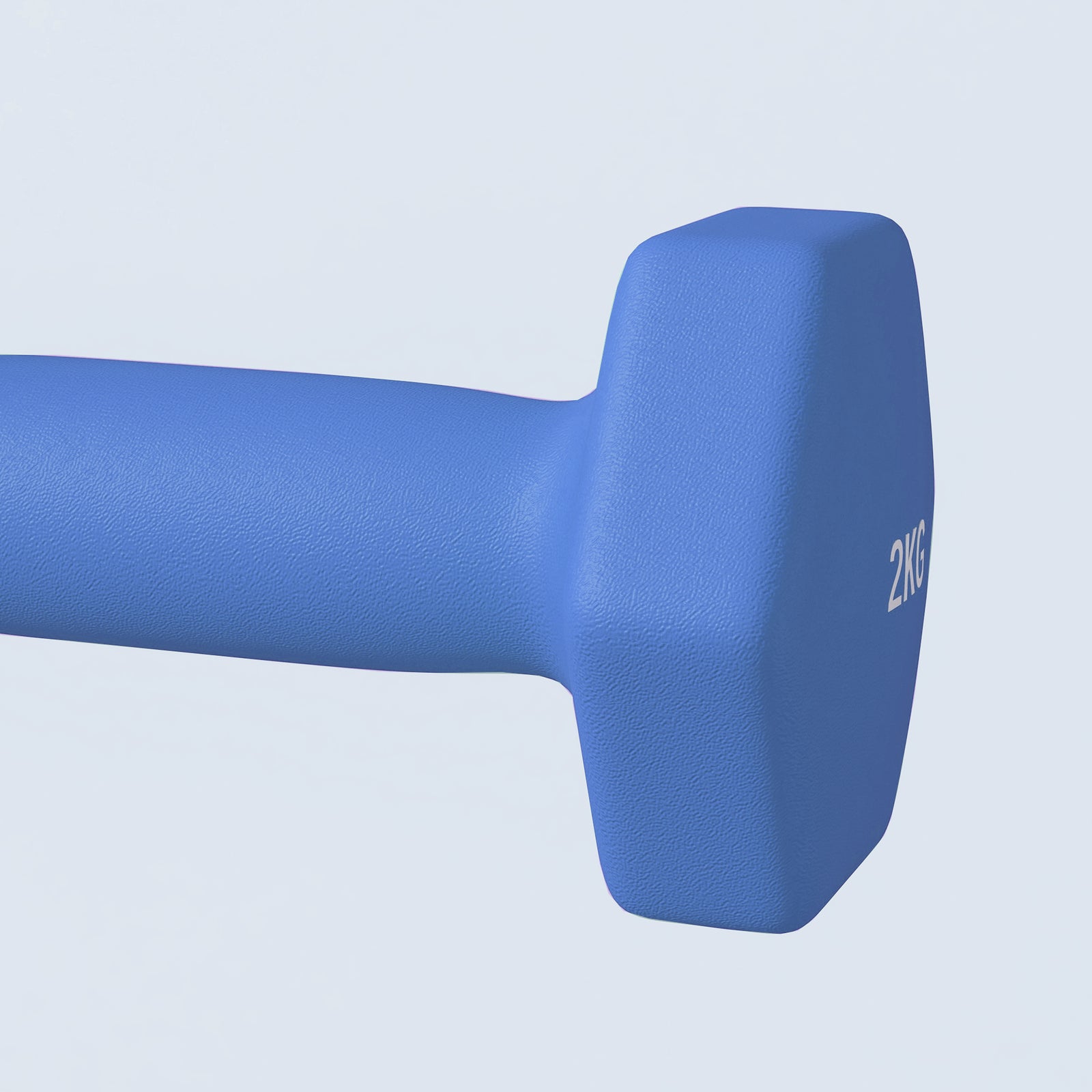 Set Of 2 Hexagonal Dumbbells Weights Pair | Medium | Blue