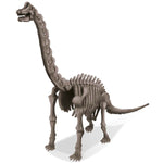 4M Kidzlabs - Dig A Dinosaur Skeleton - Brachiosaurus