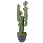 Leaf Artificial Cactus Cacti Plant Black Pot 65cm Plants