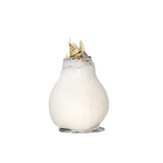 Amaryllis - Hippeastrum 'wax White' - Flower Bulb - Red | Set of 1 | Red