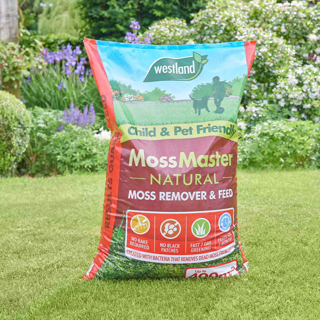 Moss Master Natural Moss Remover And Lawn Feed - Up To 3 Months 80 sqm | Single