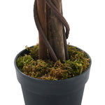 180cm Tall Artificial Willow Tree Lifelike Faux Plant For Home Or Office Decor