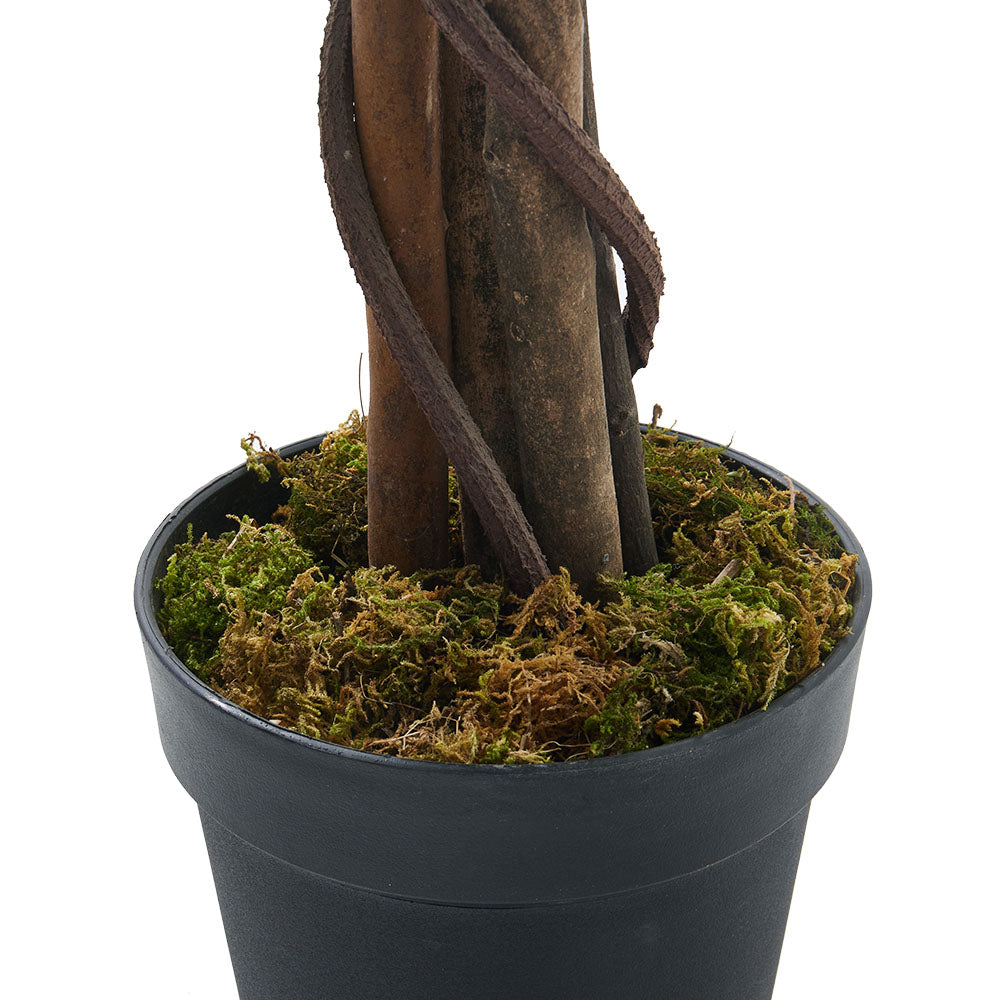 180cm Tall Artificial Willow Tree Lifelike Faux Plant For Home Or Office Decor