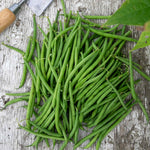Dwarf French Bean 'faraday' Seeds | 50 Seeds