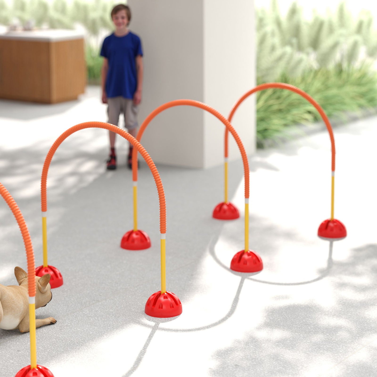 4 Piece Dog Agility Training Equipment With Carry Bag, Orange