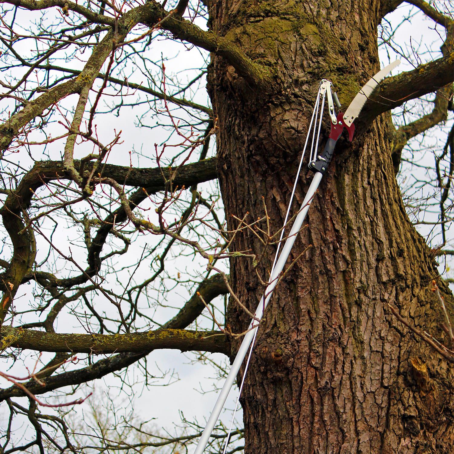 Kent & Stowe Telescopic Tree Lopper Bypass Pruner Cutter 4 Gears 3m