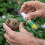 Rootiliser Potato Mist With Bacillus Atropheus Abi05 Mist Bottle