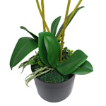 Artificial Orchid Flower Pink Orchid Arrangement  60cm