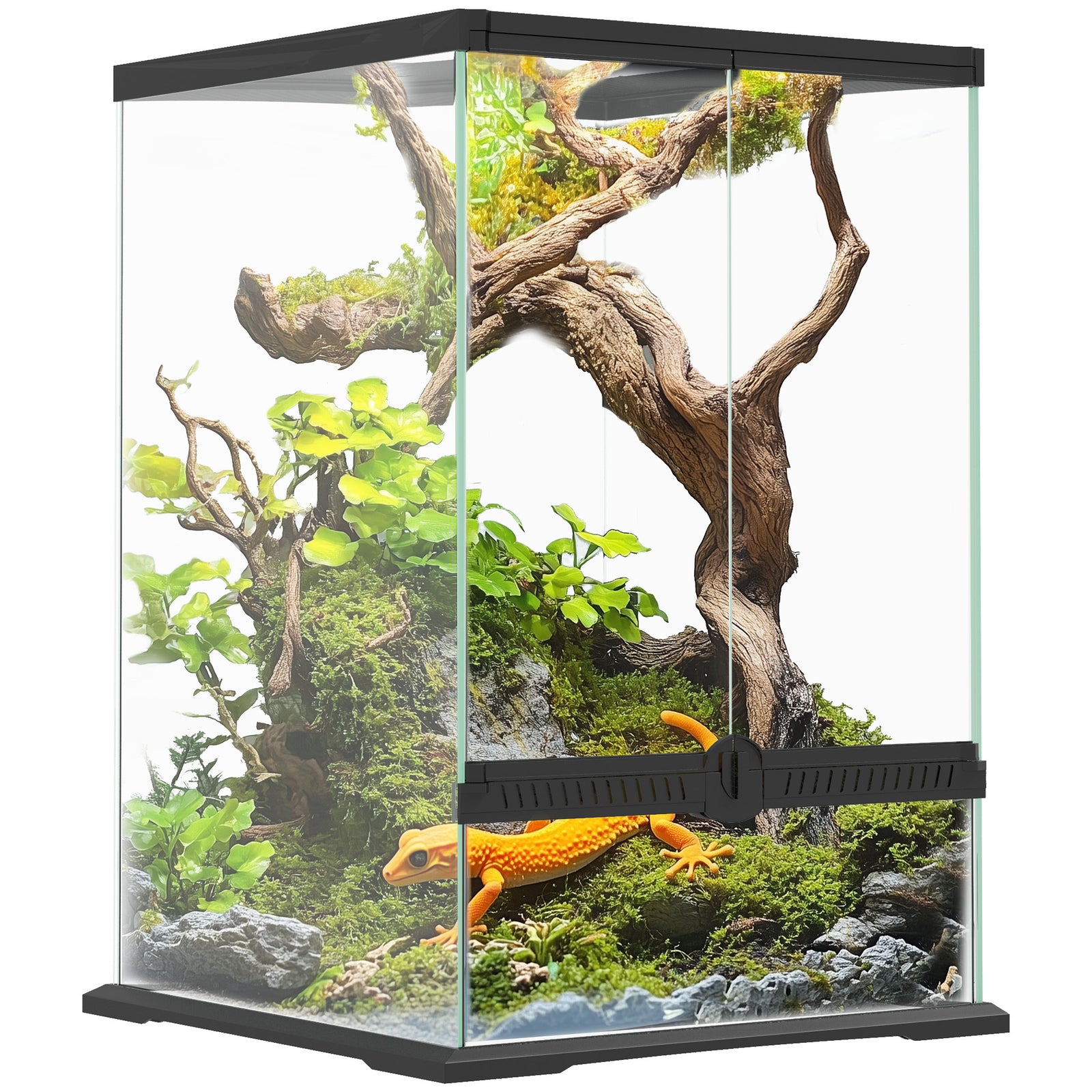 Glass Reptile Terrarium, Vivarium For Lizards, Frogs, Snakes, Turtles | Black