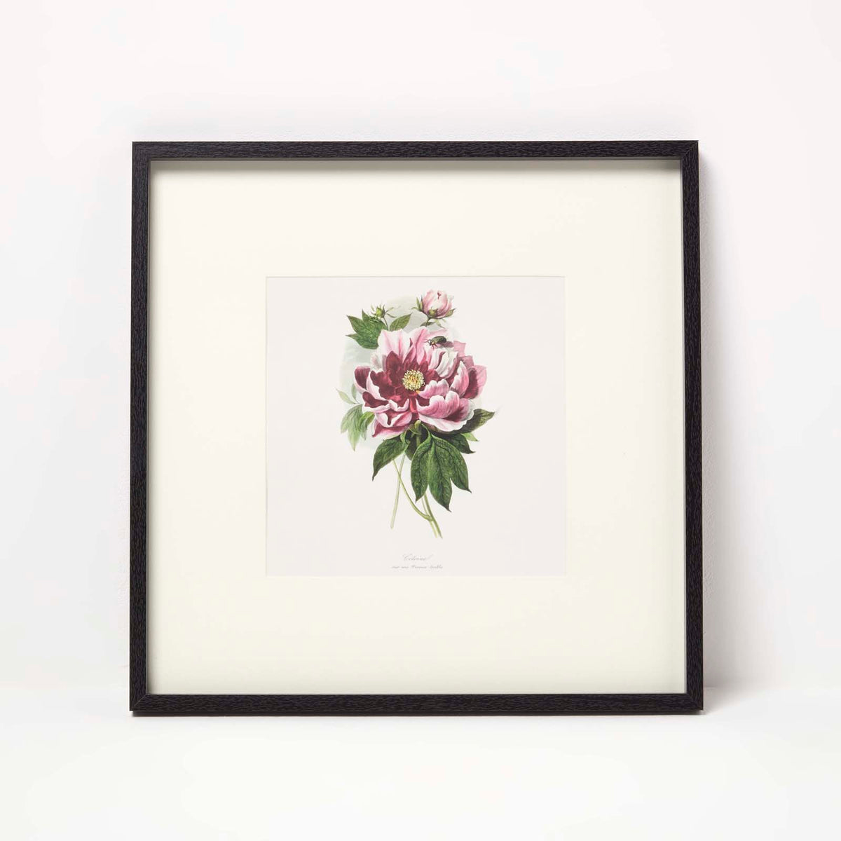 HOMESCAPES Wall Decoration Set Of 3 Frames With Picture, Peonies