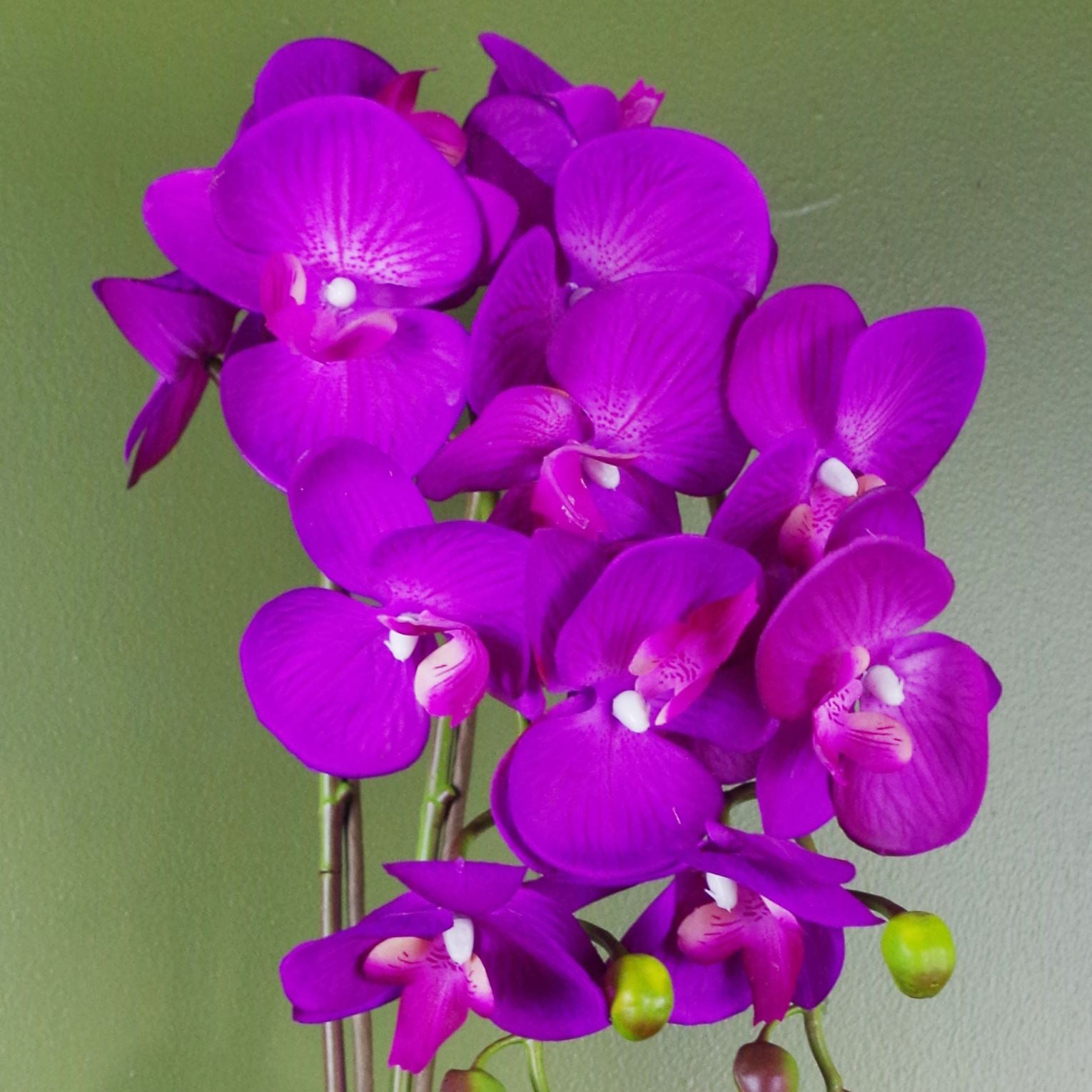 52cm Artificial Orchid Large Purple And Gold