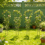 4-pack Outdoor Metal Trellis Set For Climbing Plants
