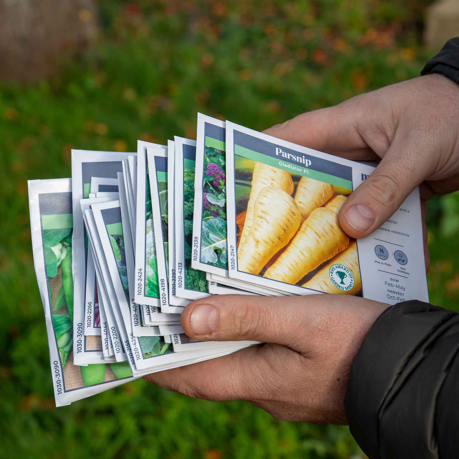 Large Allotment Seed Collection - 25 Vegetable Varieties | 25 Seeds | Multi