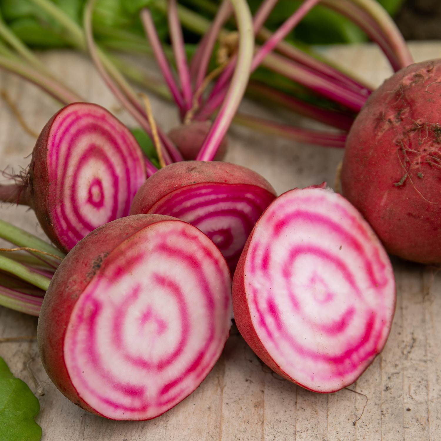 Chioggia Beetroot Seeds | 250 Seeds