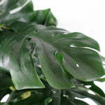 150cm Artificial Monstera Plant Premium