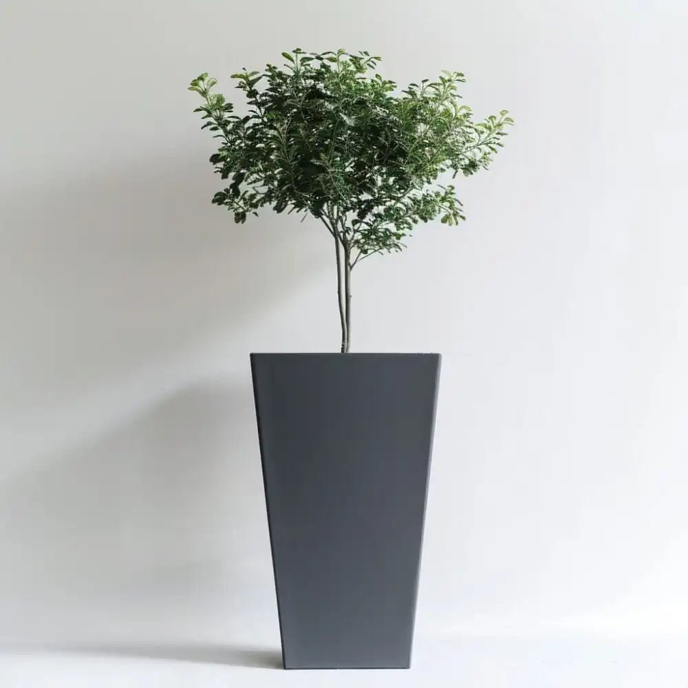 Zinc Galvanised Tall Flared Tapered Square Planter | 40cm x 40cm x 90cm | Gray