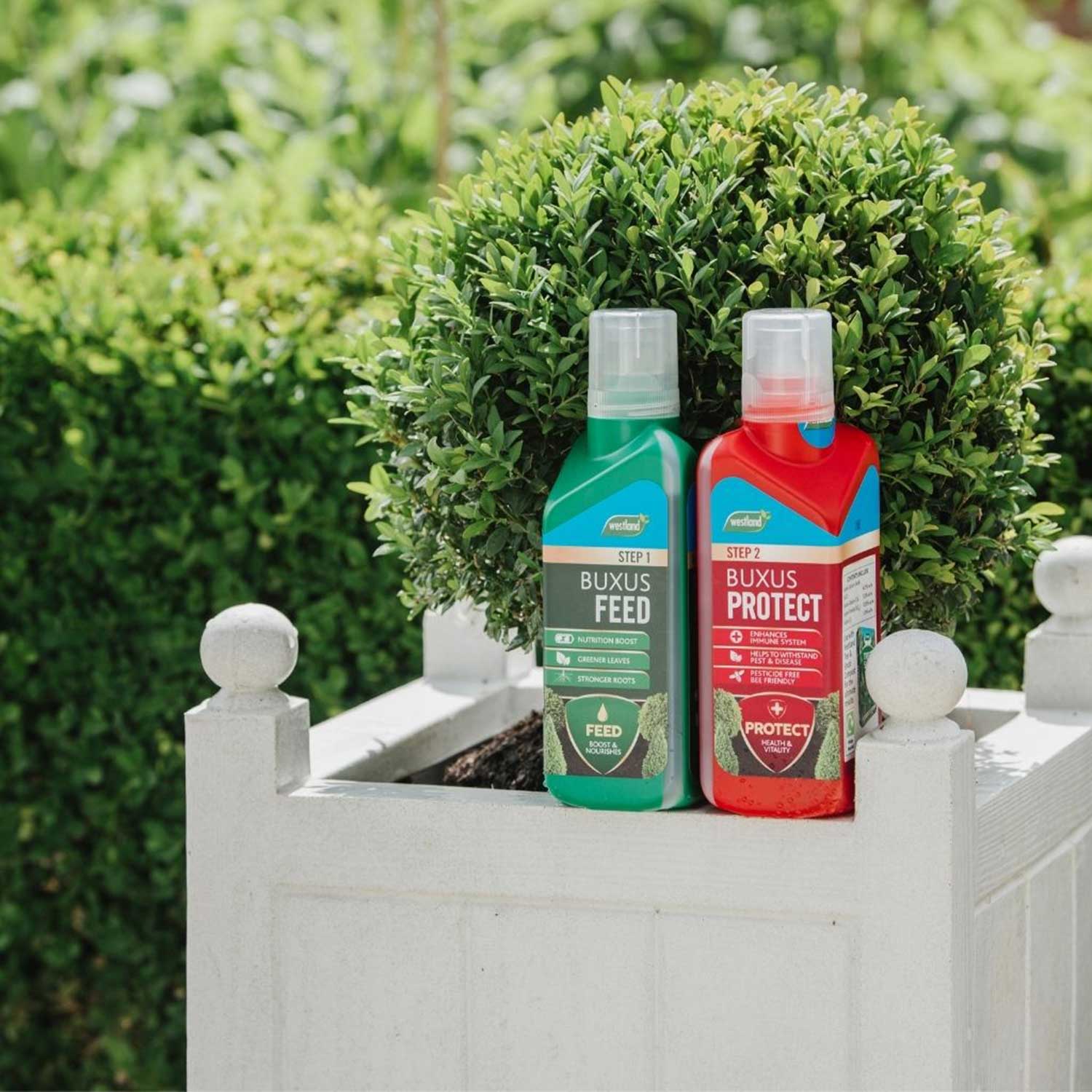 Buxus 2-in-1 Feed & Protect Duo | Pair