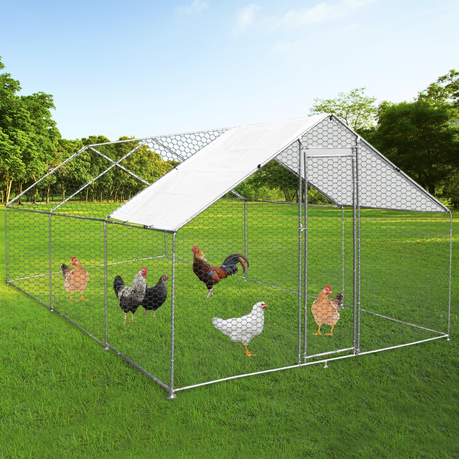 Chicken Run 4m X 6m X 2m | 4m x 6m x 2m | Green
