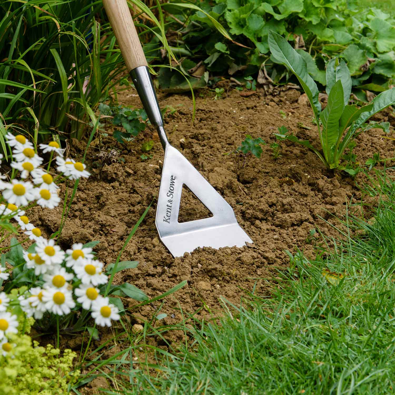 Stainless Steel Dutch Hoe With Ash Handle
