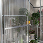 6x2.5ft Aluminium Polycarbonate Greenhouse | Silver