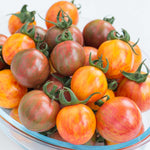 Bumble Bee Mix Tomato (striped Cherry) Seeds | 10 Seeds