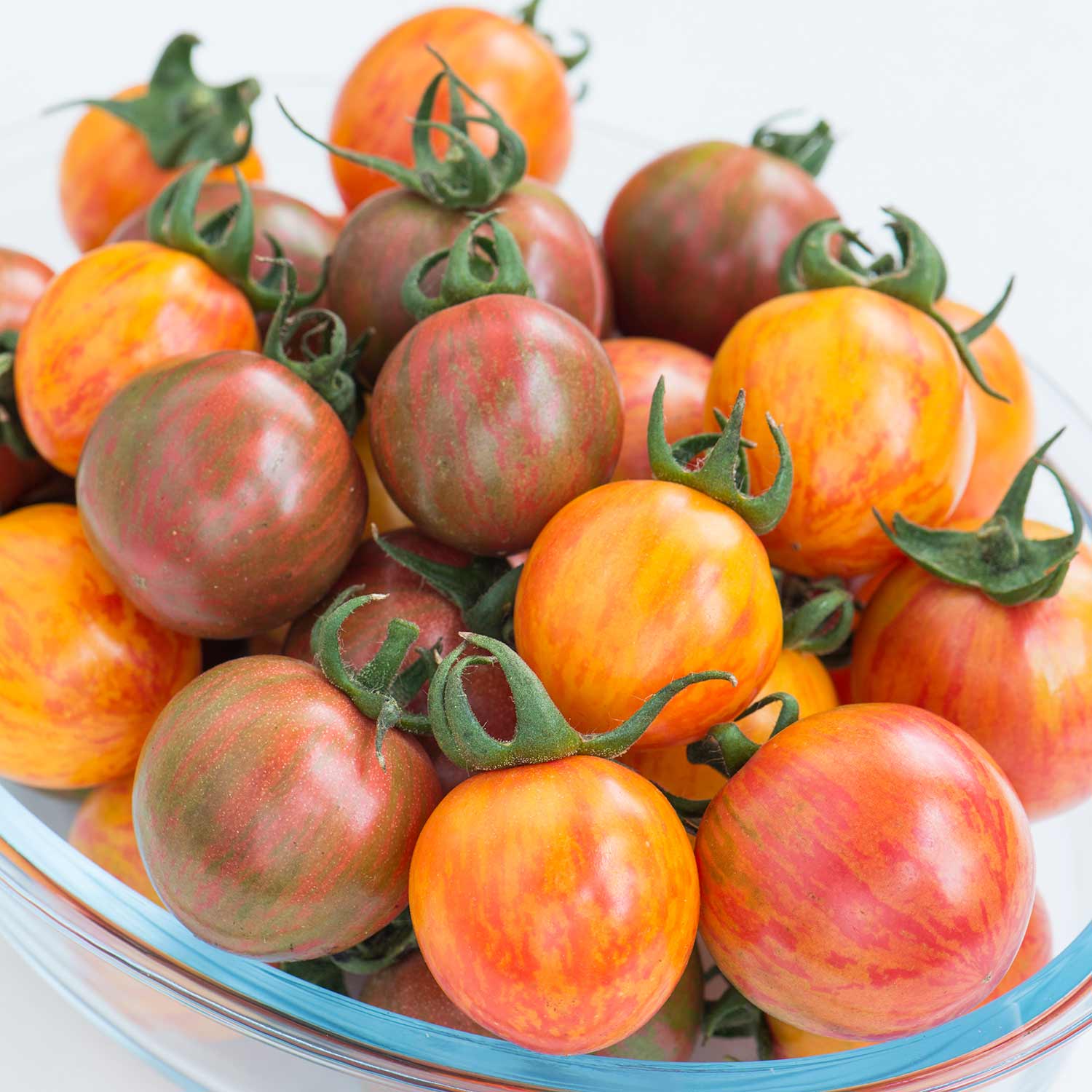 Bumble Bee Mix Tomato (striped Cherry) Seeds | 10 Seeds