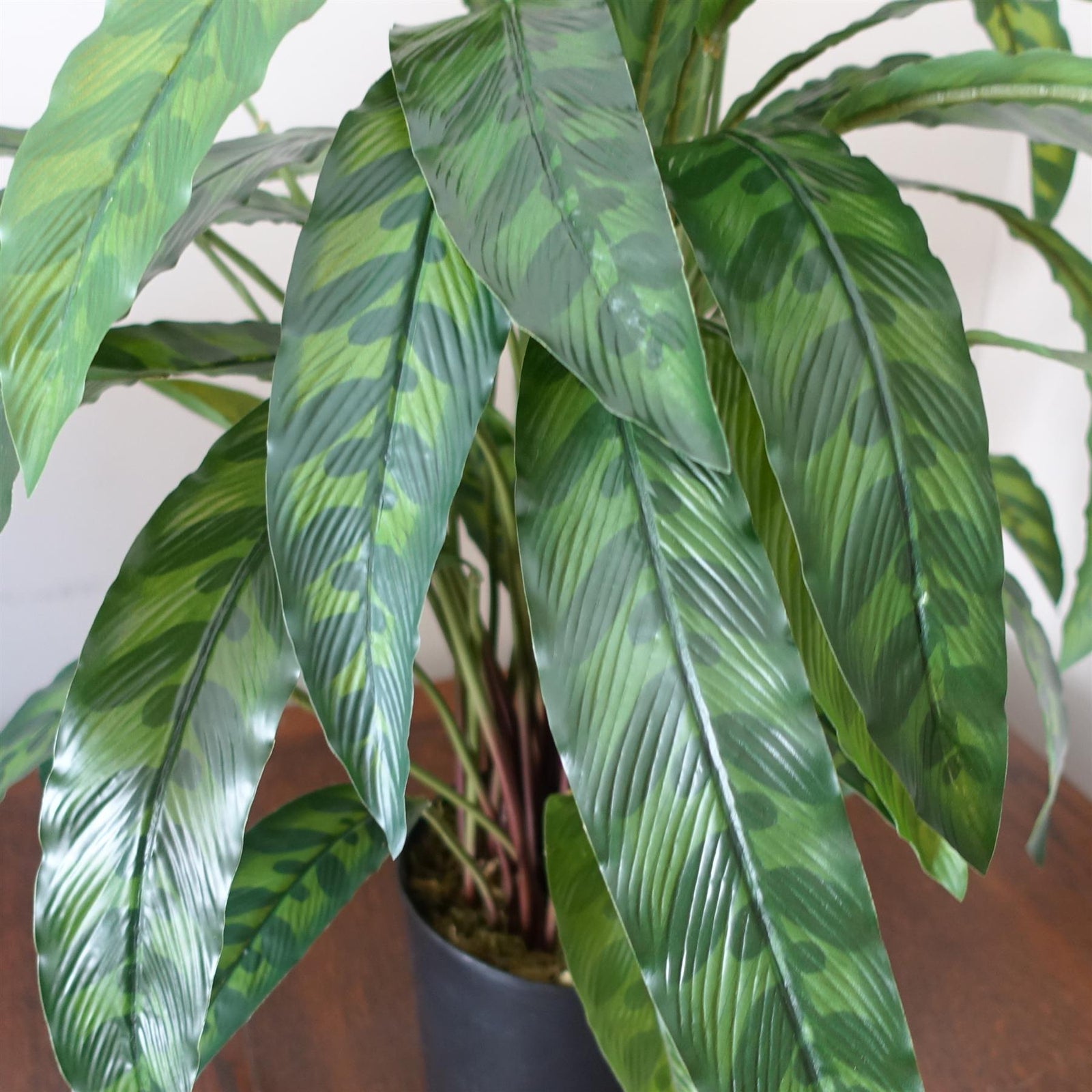 60cm Variegated Artificial Calathea Plant