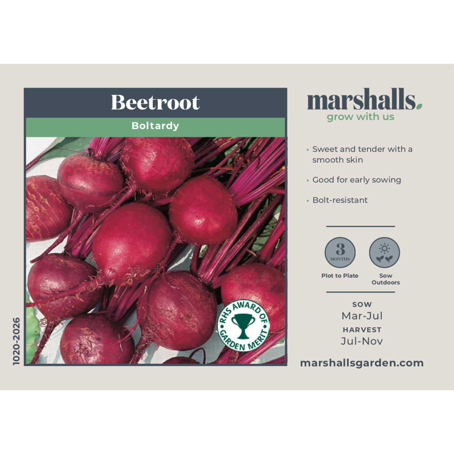 Beetroot Seeds 'boltardy' - Early, Bolt-resistant Variety | 400 Seeds