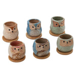 6pcs Mini Ceramic Owl Succulents Plant Pot With Plant Saucers