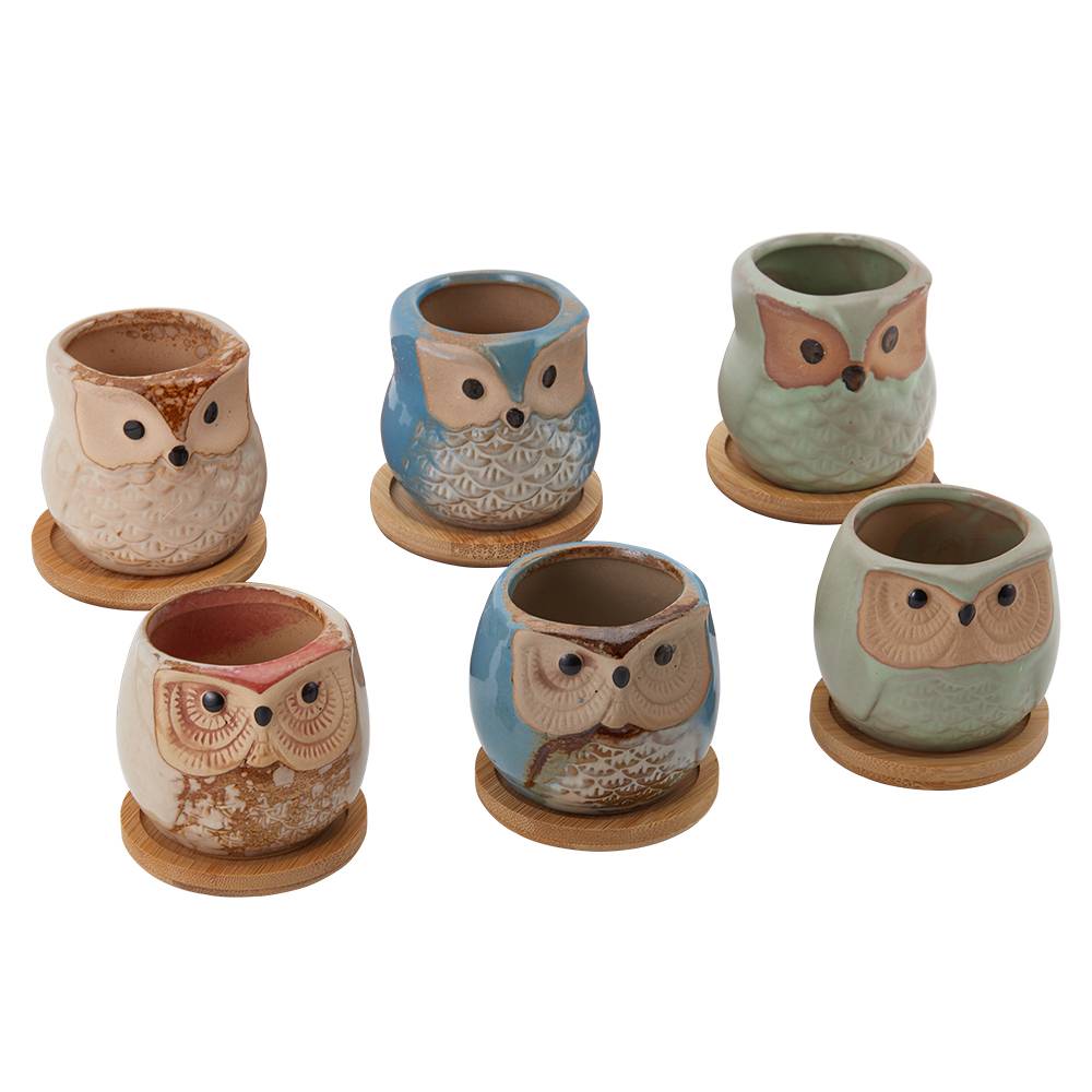 6pcs Mini Ceramic Owl Succulents Plant Pot With Plant Saucers